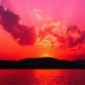 Meet your Posher, Claire